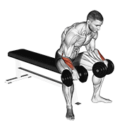 Reverse Dumbbell Wrist Curl
