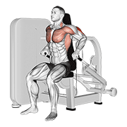 Seated Dip Machine