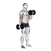 Alternating Dumbbell Curl