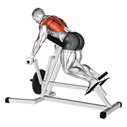 Reverse T-Bar Row