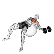 Stability Ball Dumbbell Fly
