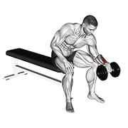 Reverse Dumbbell Wrist Curl