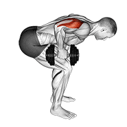 One Arm Dumbbell Triceps Kickback
