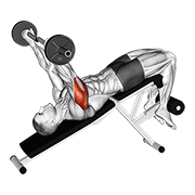 Decline EZ Bar Skull Crusher