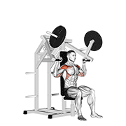 Shoulder Press Machine