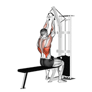 Rope Lat Pulldown