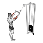 Standing Lat Pulldown