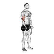 One Arm Reverse Curl