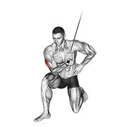 Kneeling Cable Triceps Extension