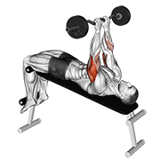 EZ Bar Close Grip Decline Press