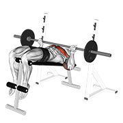 Reverse Grip Decline Press