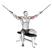 Seated High Cable Curl