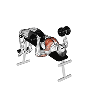 Decline Dumbbell Press