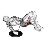 Band Glute Bridge