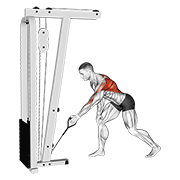 Bent Over Cable Row