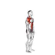 Reverse Lunge with Arms Raised