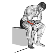 Reverse Band Wrist Curl