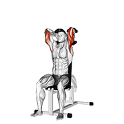 Seated Dumbbell Triceps Extension