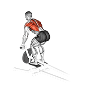 Reverse Grip T-Bar Row
