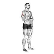 Cable External Rotation