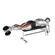 Lying Dumbbell Leg Curl