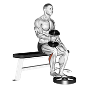Seated Dumbbell Calf Raise
