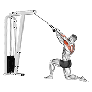 Kneeling Cable Rear Delt Row