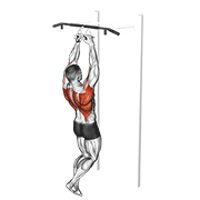 Neutral Grip Pull-up