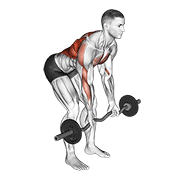 Reverse Grip EZ Bar Row