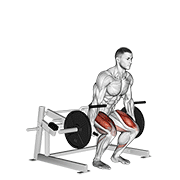 Machine Deadlift