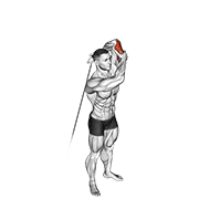 Cable Triceps Pushdown Overhead
