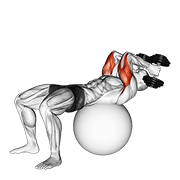 Stability Ball Triceps Extension