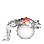 Stability Ball Crunch
