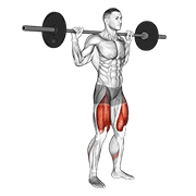 High Bar Squat