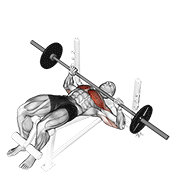 Decline Barbell Press