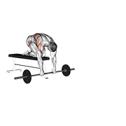 Bench Barbell Rollout