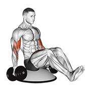 Bosu Dumbbell Curl