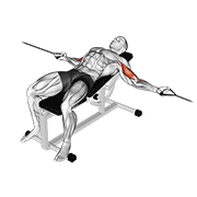 Incline Bench Cable Curl