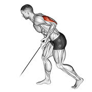 One Arm Cable Kickback