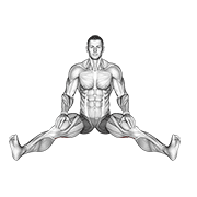Seated Adductor Stretch