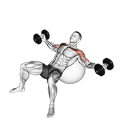 Incline Stability Ball Fly