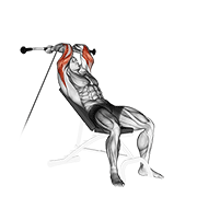 Incline Cable Triceps Extension