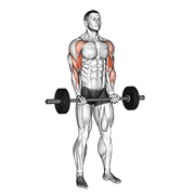Barbell Drag Curl