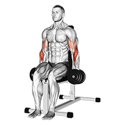 Seated Hammer Curl