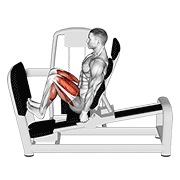 Calf Press Machine
