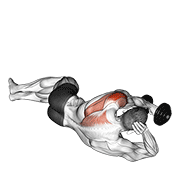 Lying Dumbbell Rear Delt Fly