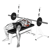 Close Grip Bench Press