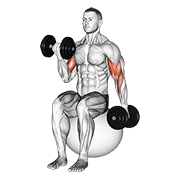Alternating Curl on Stability Ball