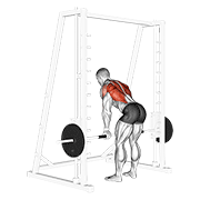 Smith Machine Close Grip Row