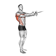 Standing Cable Row